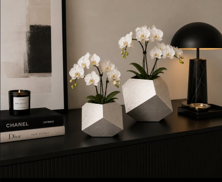 Decor