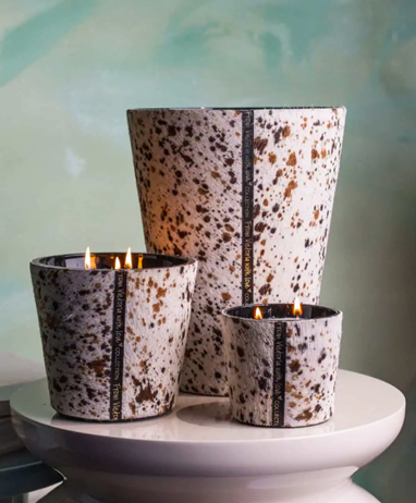 Hairy Candle Wilderness