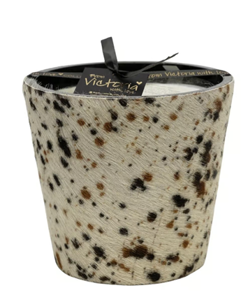 Hairy Candle Wilderness