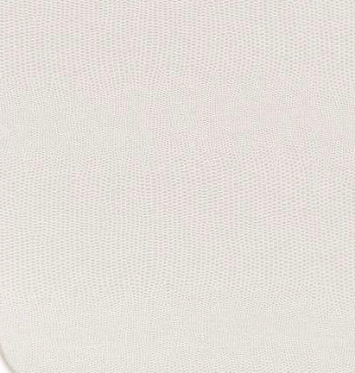 Ivory Lizard Placemat Felt (Set of 4)