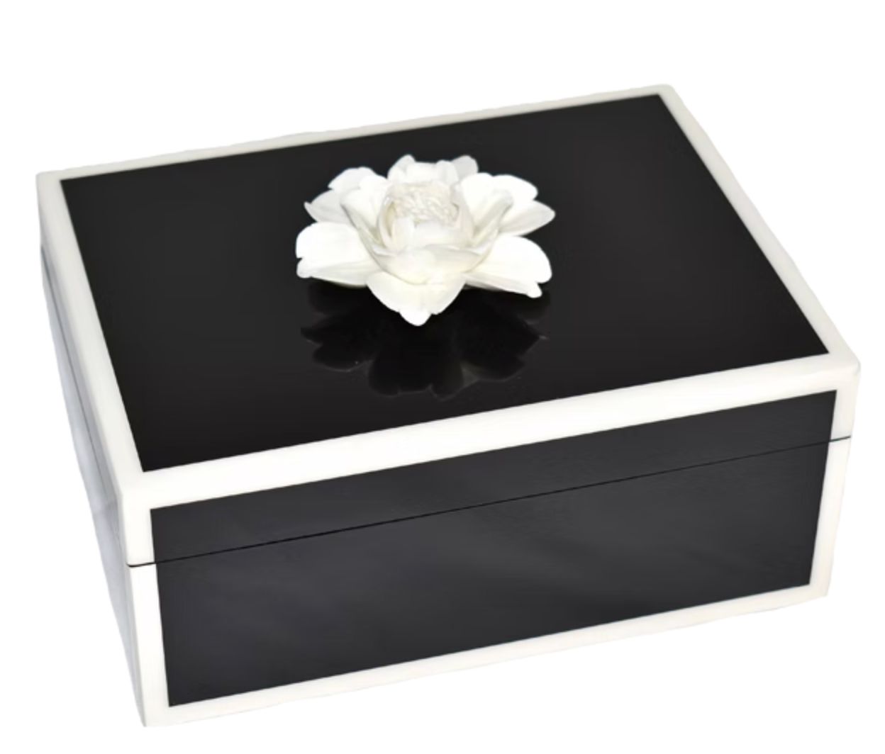 Black Box